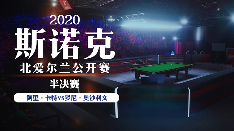 爱尔兰成功逆转比分，小组第三晋级淘汰赛的简单介绍